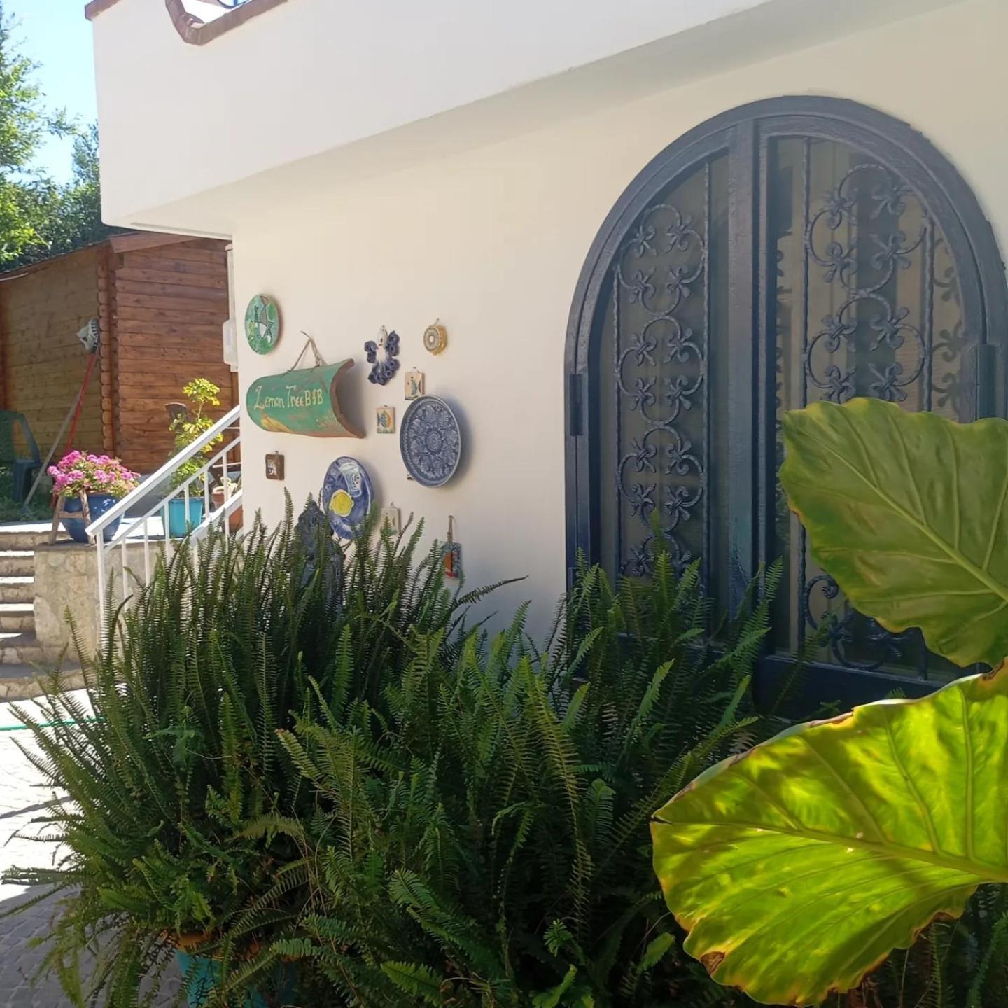 Lemontree House Bacoli Bed and Breakfast Exteriör bild